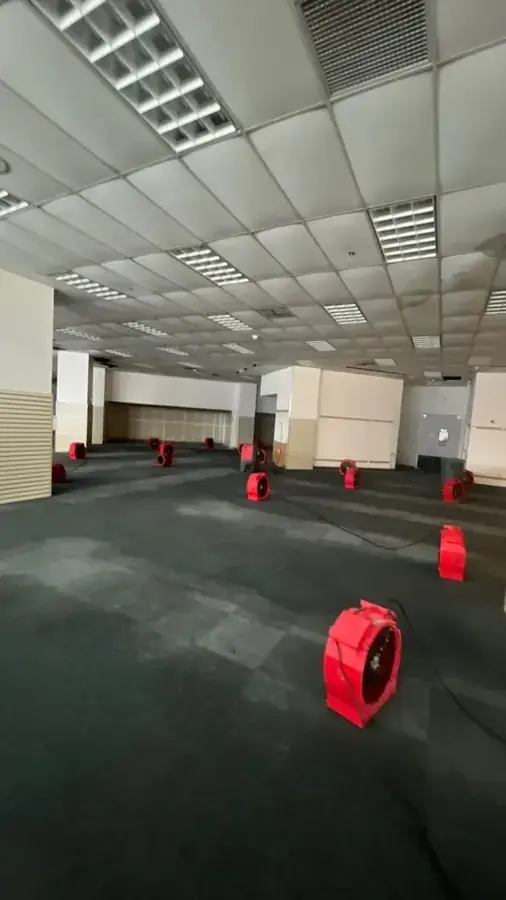 Air movers drying a great room after a leak in a Chula Vista, CA home