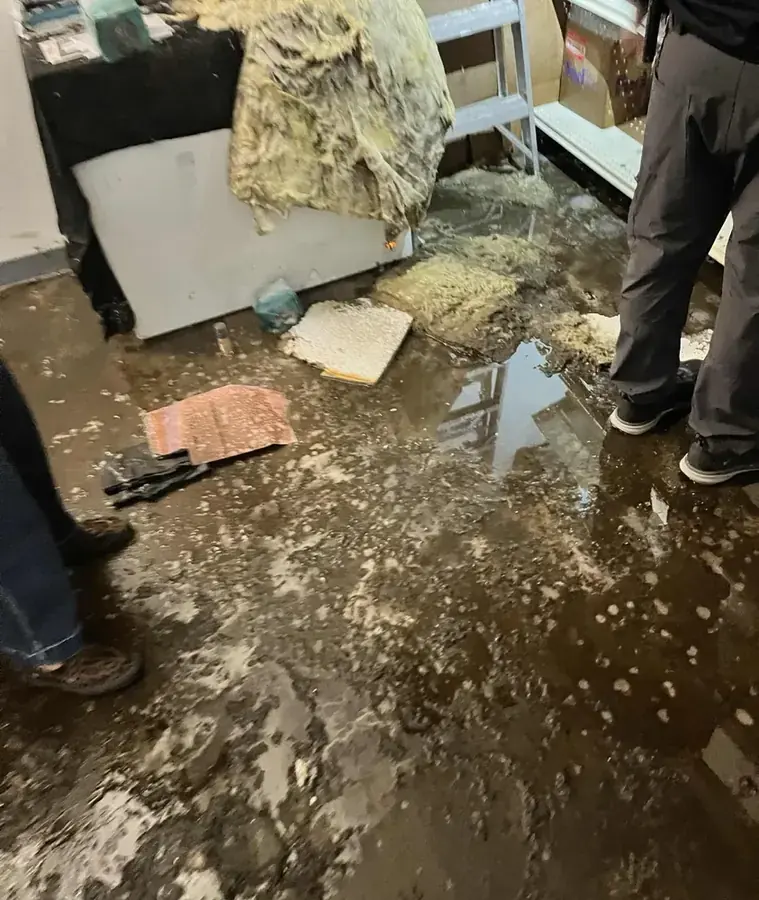 Category 3 black water backup cleanup in a Chula Vista, CA home